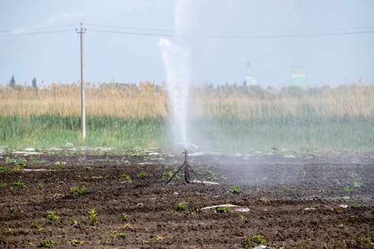 Irrigation system in field of melons. Watering the fields. Sprinkler photo