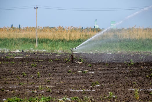 Irrigation system in field of melons. Watering the fields. Sprinkler photo