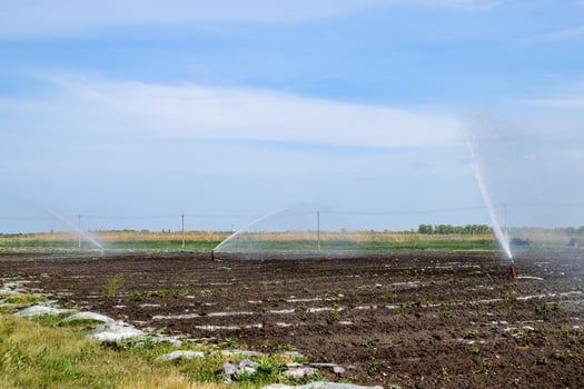 Irrigation system in field of melons. Watering the fields. Sprinkler photo