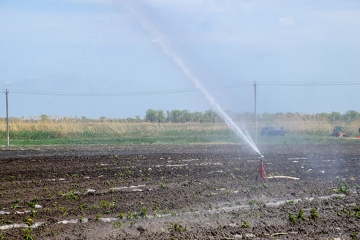 Irrigation system in field of melons. Watering the fields. Sprinkler photo
