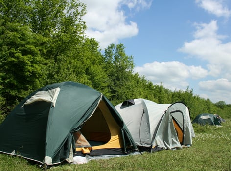 tourist tents in forest at campsite photo