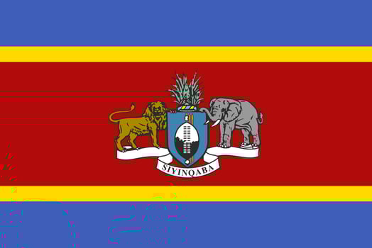 The official current flag and coat of arms of Kingdom of Eswatini . State flag of Zambia texture. Illustration. photo
