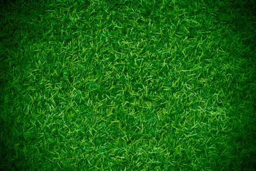 Green grass texture background grass garden concept used for making green background football pitch, Grass Golf, green lawn pattern textured background. photo