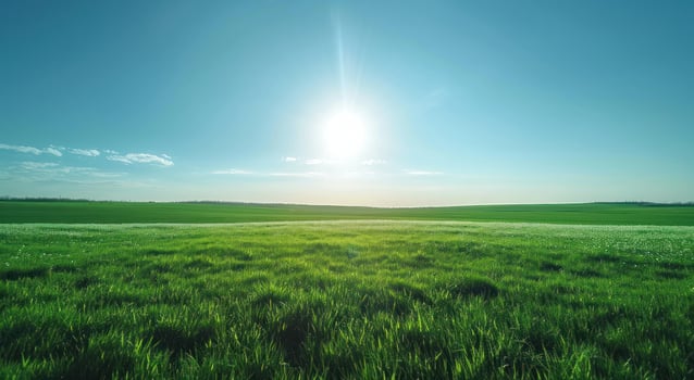 AI generated a green field by the sun photo