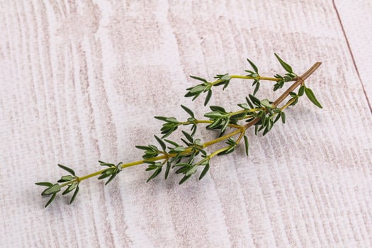 Aroma seasoning thyme stem with leaves photo