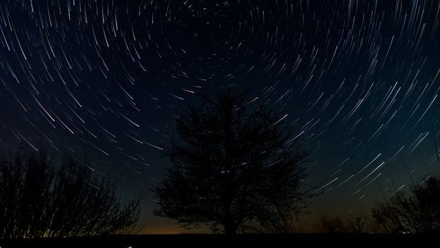 Star trails in the night sky above the silhouette of a tree. Stars move around a polar star photo