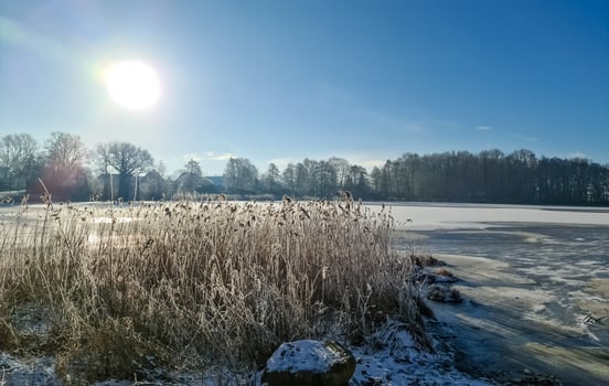 A snow covered frozen lake with icy reeds in the sunshine in the very north of Germany. photo