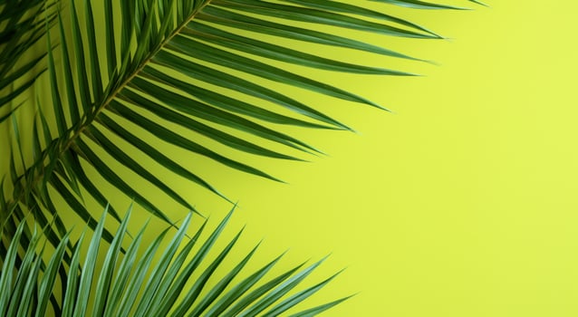 AI generated green palm leaves against a green wall photo