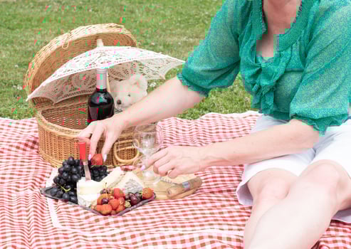 woman in a green blouse sits on a red checkered picnic rug, red wine and chees photo