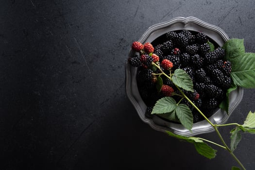 A full plate of the ripe blackberries,a sprig of red berries on a pewter bowl photo