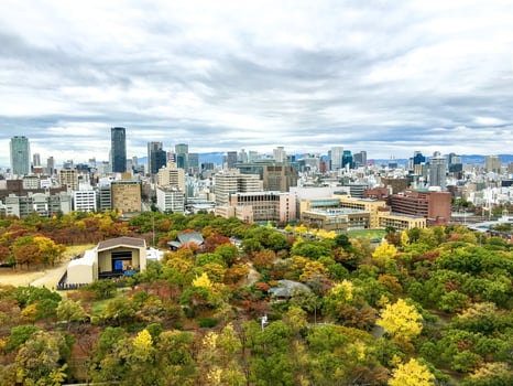 Scenic view of Osaka city with maple trees in autumn season under blue sky background. photo