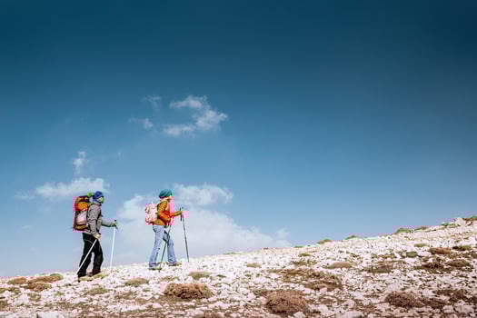 Happy Couple Enjoying Nordic Walking photo