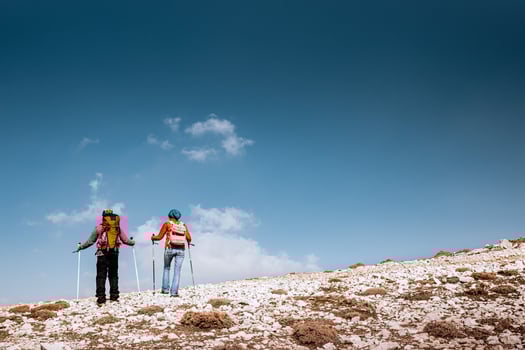 Active Couple Walking with Sticks in the Mountains photo
