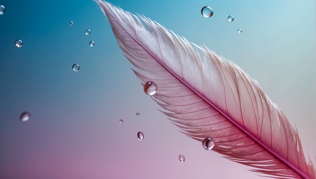 Beautiful feather, drop of water, color background photo
