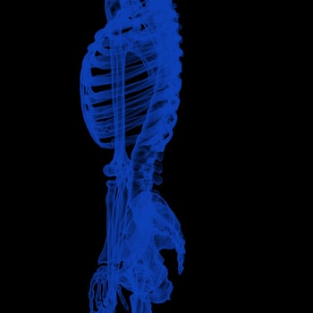 X-ray Vision,of the Human Body and Bones. photo