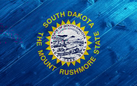 Flag of South Dakota USA state on a textured background. Concept collage. photo