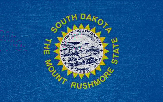 Flag of South Dakota USA state on a textured background. Concept collage. photo
