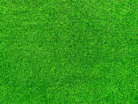 Green grass texture background grass garden concept used for making green background football pitch, Grass Golf, green lawn pattern textured background. photo