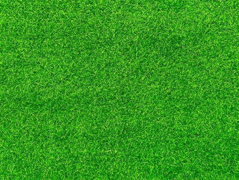 Green grass texture background grass garden concept used for making green background football pitch, Grass Golf, green lawn pattern textured background. photo