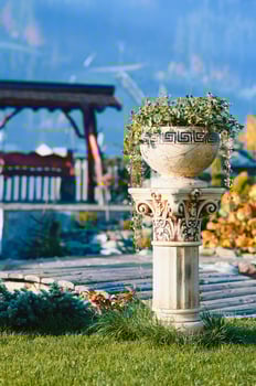 landscape design Garden with decorative plants and garden sculptures photo