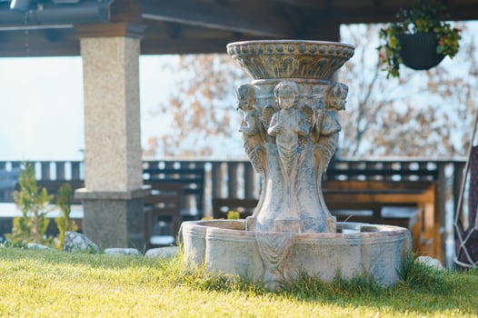 landscape design Garden with decorative plants and garden sculptures photo