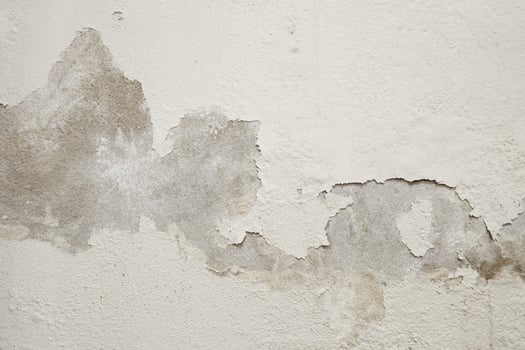 White cement wall with peeling paint caused by rising damp photo
