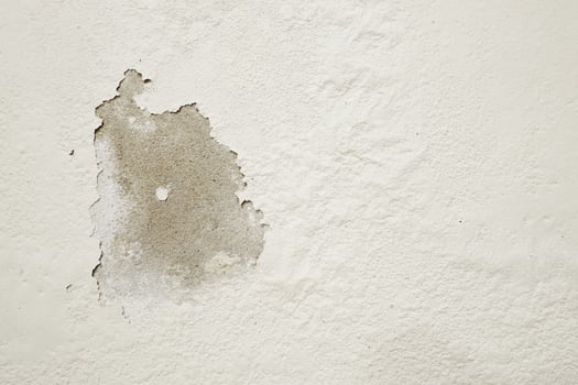 White cement wall with peeling paint caused by rising damp photo