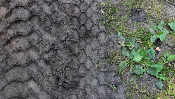The living grass of the lawn is dug up by tracks from a heavy truck detailed stock photo