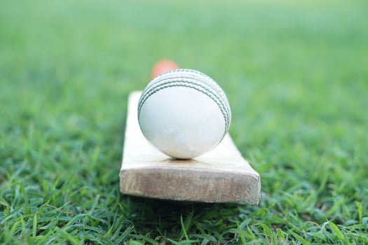 White cricket ball on wooden bat. Concept, sport equipment. Competitive sport. A cricket ball is made with a core of cork, covered by a leather case with a slightly raised sewn seam photo