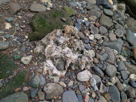 Close up view of the strange patterned background of mountain rocks taken while traveling in Sulawesi, Indonesia photo