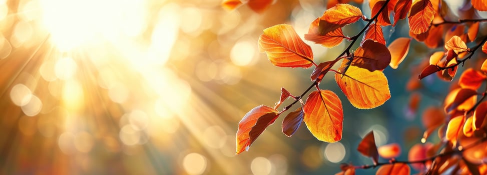 AI generated Autumn leaves bask in sunlight rays, with blurred trees adding depth, Ai Generated photo