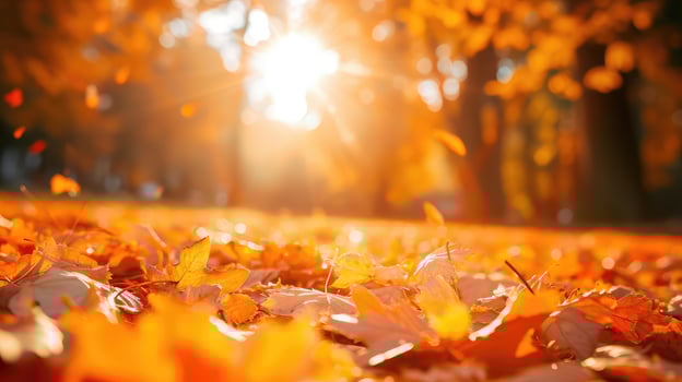 AI generated orange fall leaves in park, sunny autumn natural background photo