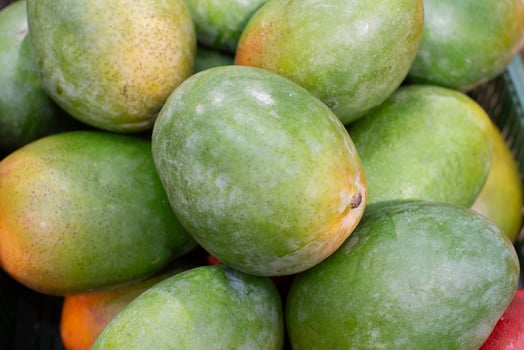 Background mango on top. Lots of exotic mango fruits. photo
