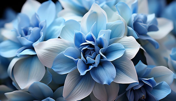 AI generated Nature elegance in a single flower blossoming generated by AI photo