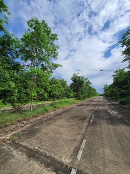 asphalt road in forest. photo
