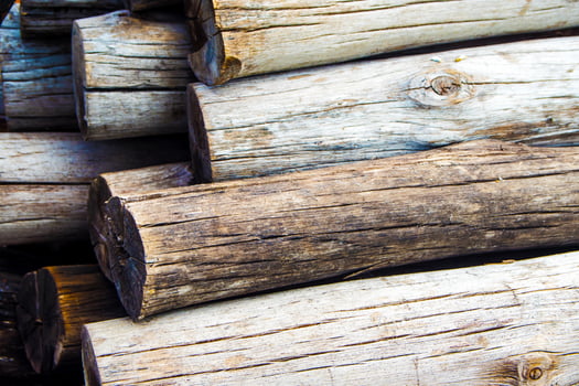 Stacked of firewood logs photo