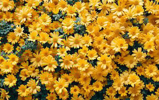 AI generated Wall of bright yellow flowers background photo
