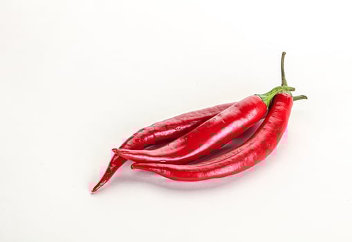 Hot and spicy chili pepper photo