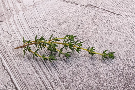 Aroma seasoning thyme stem with leaves photo