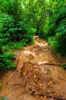 Road down to the waterfall photo