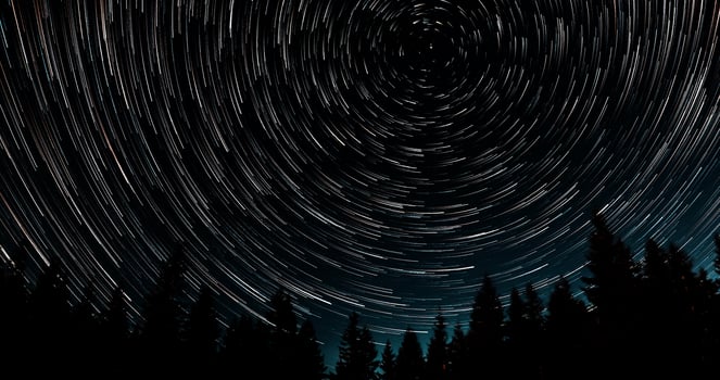 Star trails in the night sky. Stars move around a polar star. Silhouettes of trees photo