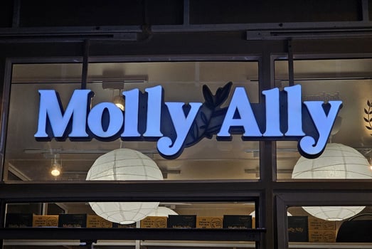 BANGKOK, THAILAND SEPTEMBER 14, 2023 Molly Ally sign. Molly Ally is a famous plant based gelato ice cream in Thailand. photo