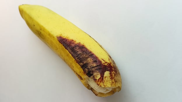 yellow banana with brownish black spots on a white background photo