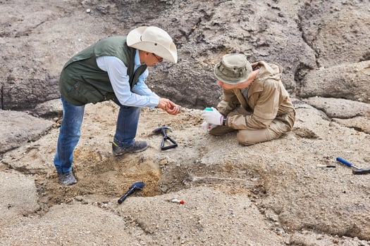archaeologists or paleontologists in a field expedition discuss found ancient bones photo