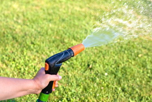 watering the grass photo