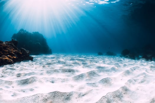 Tropical blue ocean with white sand and coral reef underwater in Hawaii photo
