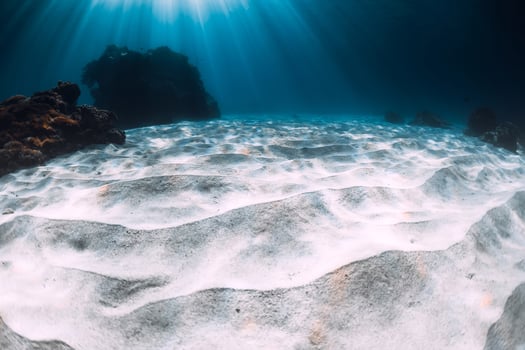 Tropical transparent ocean with white sand and coral reef photo