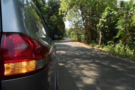 Tail light of grey car with turn on signal. Driving on the asphalt road. Forest that covers the surrounding area. photo