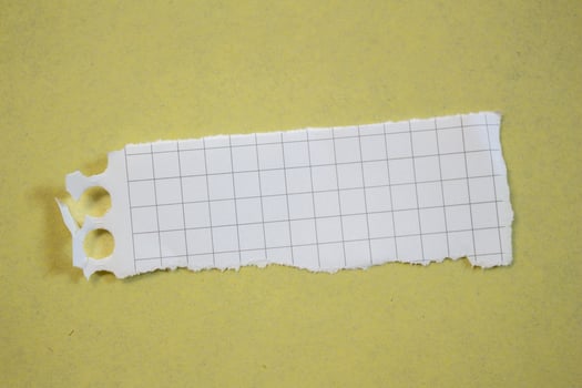 Isolated ripped paper piece. Torn blank paper with edges. photo