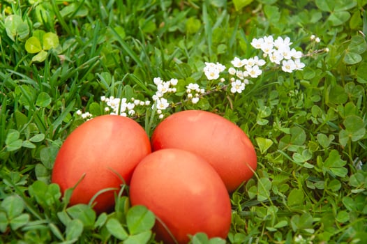Easter eggs on green grass with white flowers in the garden. photo